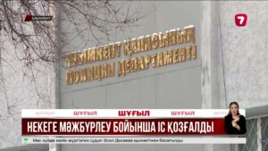 Нұрай Серікбай ісі: некеге мәжбүрлеу бойынша қылмыстық іс қозғалды