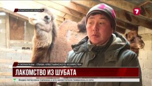 В Алматинской области делают мороженое из шубата