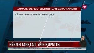 Қаскелеңде ер адам әйелі мен енесін соққыға жыққан