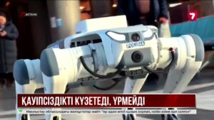 Елордадағы қауіпсіздікті робот ит қадағалайды