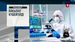 Астанада итін көлікпен сүйреткен бейнежазба желіде таралды