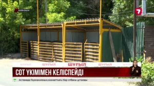 Шымкентте үй жинаушы әйелді өлтірген жасөспірімнің адвокаттары жазаны ауыр деп есептейді