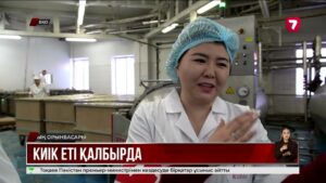 Оралда бұқтырылған киік еті сатыла бастады