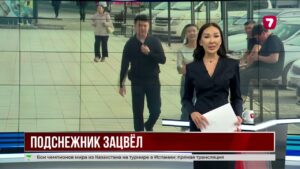 Юг Казахстана встречает весну: в Шымкенте распустились подснежники