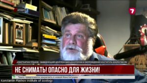 Снежного барса в Алматы охраняли три дня