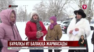 Өскеменде бұралқы ит адамға шаба бастады