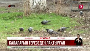 Жамбыл облысында әйел 5-қабаттан екі баласын лақтырып жіберді