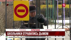 В Алматы шестеро школьников отравились дымом на празднике
