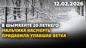 В Шымкенте 10-летнего мальчика насмерть придавила упавшая ветка | 12.02.2026 — Дневные новости
