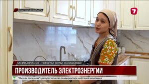 Житель Алматинской области зарабатывает на продаже солнечной энергии