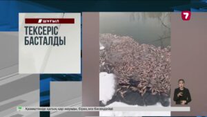 Есірткі таратқан интернет-дүкеннің қызметі тоқтатылды