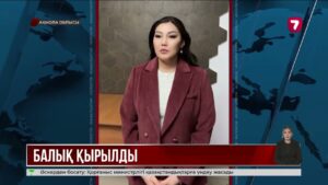 Ақмола облысында мамандар балықтардың жаппай қырылу себебін анықтай алмай әлек