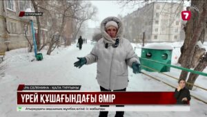 Петропавлда көпқабатты үйдің іргетасы отыра бастады