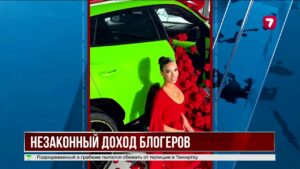 С казахстанских блогеров взыскали почти 500 млн тенге за сокрытие доходов