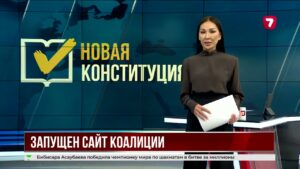 В стране запустили сайт коалиции за народную Конституцию
