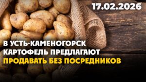 В Усть-Каменогорск картофель предлагают продавать без посредников |17.02.2026 — Дневные новости