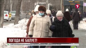 В Алматы распустились подснежники, но ожидается похолодание