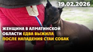 Мать, избивавшая 4-летнего сына, признана невменяемой | 19.02.2026 — Дневные новости