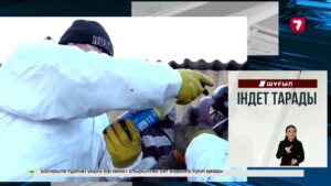 Биыл пітір садақа – 735 теңге