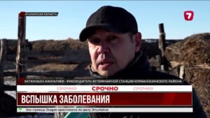 В Атырауской области тысячи коров заразились ринотрахеитом