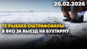 72 рыбака оштрафованы в ВКО за выезд на Бухтарму | 20.02.2026 — Дневные новости