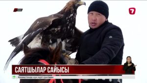 Оралда құсбегіліктен Қазақстан чемпионаты өтіп жатыр