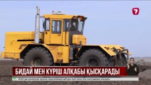 Егіс құрылымы өзгереді: бидай азайып, жүгері мен майлы дақылдар көбейеді