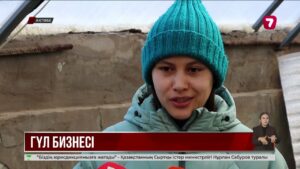 Ақтөбе тұрғыны үйінде қызғалдақ өсіреді