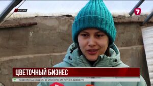 Жительница Актобе выращивает тюльпаны и продаёт урожай дома