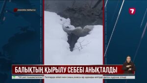 Ақмола облысында су қоймасындағы балықтың қырылуына спирт зауыты кінәлі деп танылды