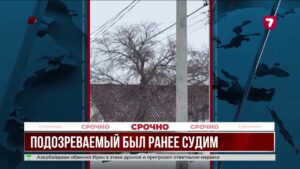 Мужчина из Жибек Жолы убил родственников, следствие продолжается