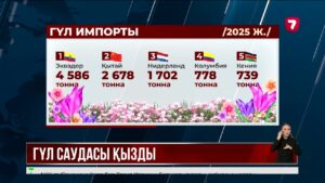 Қазақстанға әлемнің 45 елінен гүл жеткізіледі