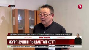 Таразда автобус жүргізушісіне мас жолаушы пышақ сұғып алған