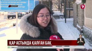 Оңтүстікте ауа райы күрт бұзылып, шаруалар шығынға ұшырауы мүмкін