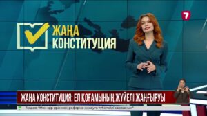 Ерлан Қарин жаңа Конституция жобасының маңызын түсіндірді