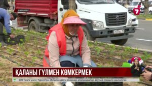Шымкентте 4 млн-нан астам гүл отырғызылып жатыр