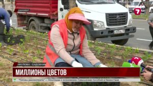 Городские власти Шымкента обещают рекордное озеленение