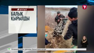 Бангладеште автобус өзенге құлап, 18 адам қаза тапты