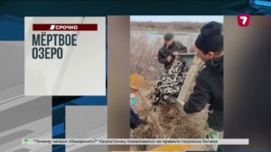 Автобус с пассажирами упал в реку в Бангладеш