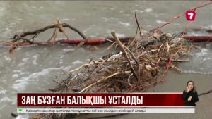 Қапшағай су қоймасында браконьерлікпен айналысқан балықшылар ұсталды