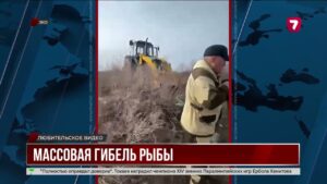 Более 5 тонн рыбы погибло в водоёмах ЗКО