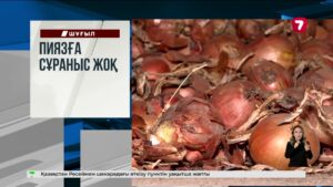 Алмарасан шатқалынан өзенде аударылып жатқан көлік табылды