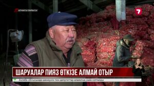 Пияз өсірумен айналысатын шаруалар өнімдерін өткізе алмай отыр