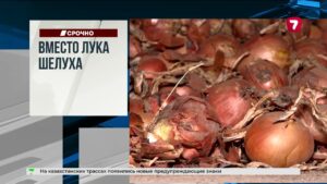 В горах Алматы нашли перевёрнутый внедорожник