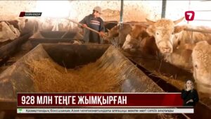 Ветеринария саласында 1 млрд теңгеге жуық қаржы жымқыру дерегі анықталды