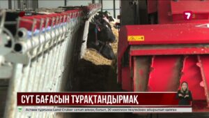 ШҚО-да сүт өндірісін арттыру үшін 10 жоба іске асады