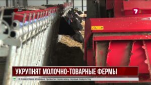 В ВКО планируют укрупнить молочно-товарные фермы