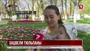 В Шымкенте зацвели миллионы тюльпанов в парках