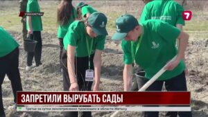 В Узбекистане запретили вырубку и приватизацию садов