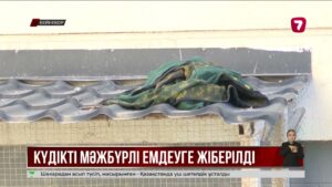 Нұрай Серікбайды өлтірді деген күдікті психикалық орталыққа емдеуге жіберілген